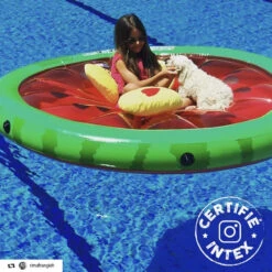 Pastèque Gonflable Grand Modèle 1.83 M Intex -Demeyere Le mobilier Boutique pasteque gonflable grand modele 183 m intex 2